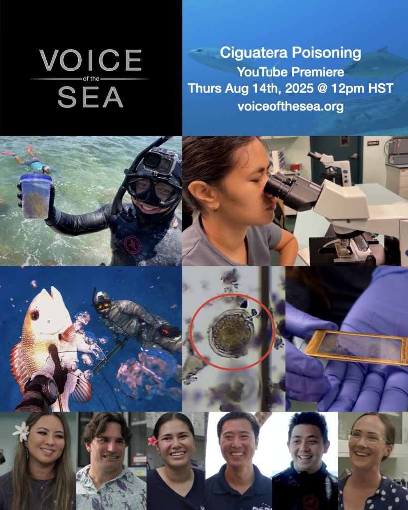 Voice of The Sea Ciguatera Poisoning