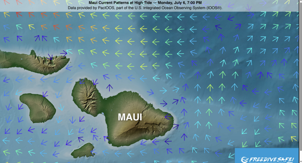 Aquatic Safety & Rescue Skills Program – Maui Ocean Currents